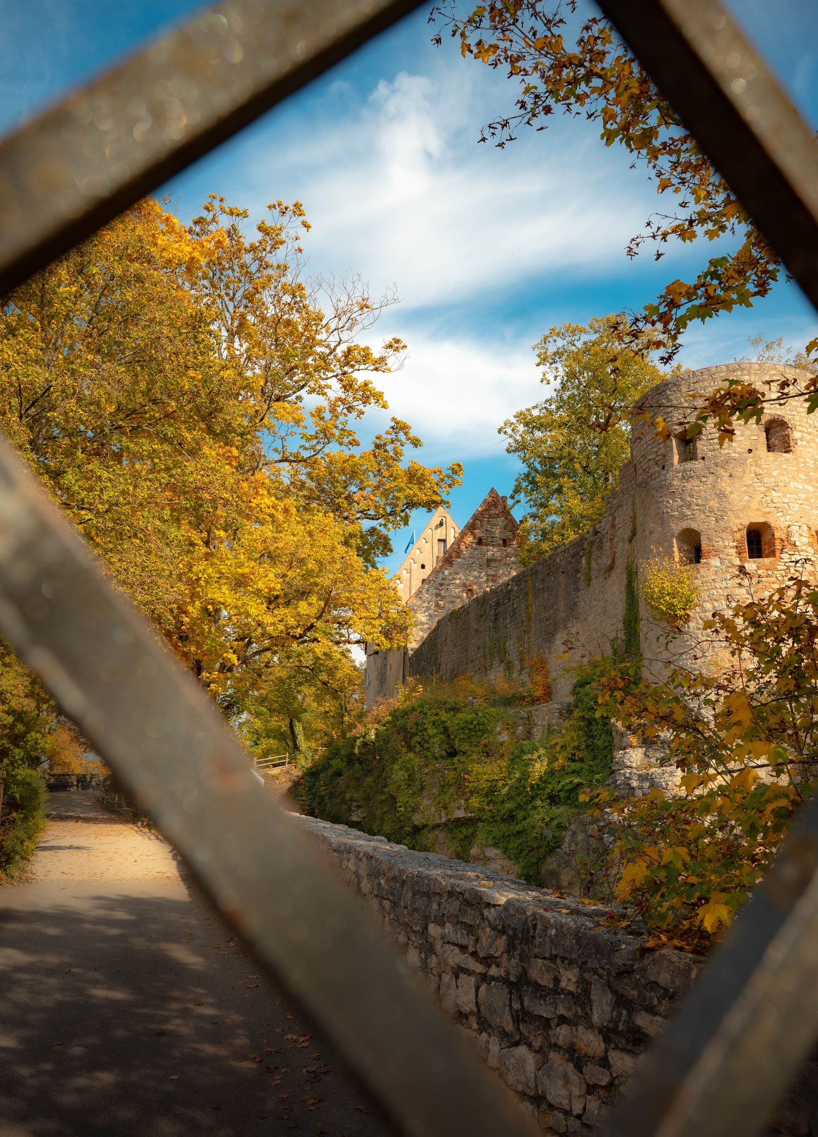 Burgmauer und Rundturm im Herbstlaub, durch ein Geländer fotografiert